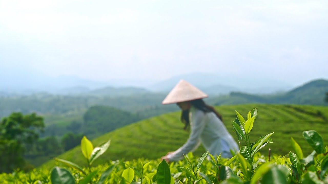 Relaxing Music For Atress Relief ♡ Relax Music, Meditation Music, Stress Relief Music