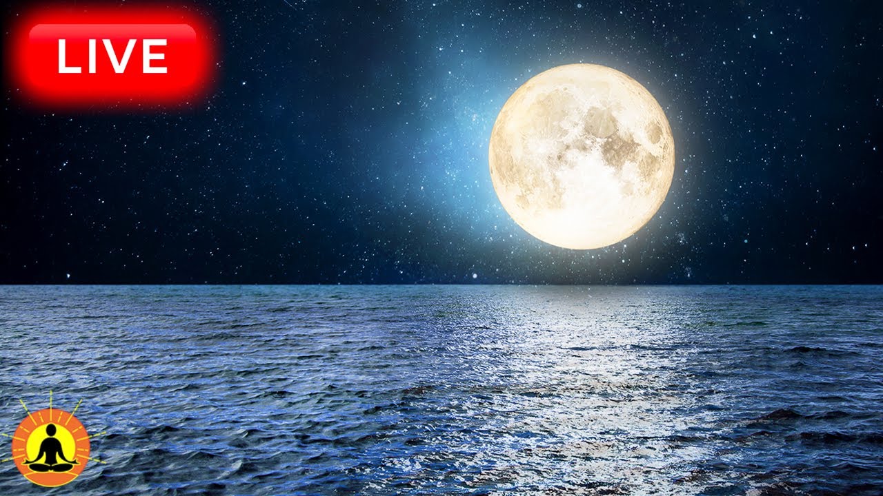 🔴 Deep Sleep Music 24/7, Calming Music, Insomnia, Sleep, Relaxing Music, Study, Ocean Waves