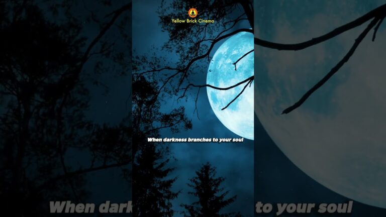 When darkness branches to your soul, light still finds a way to rise 🌖 #shorts #relaxingmusic