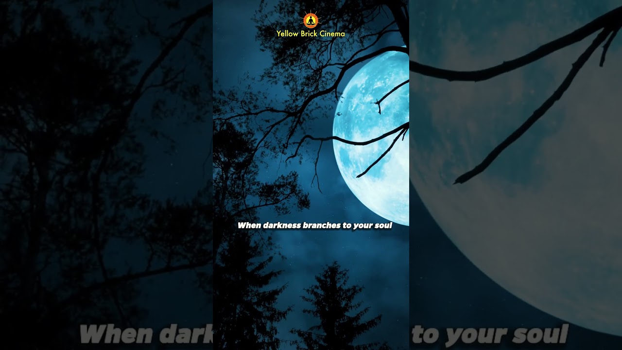 When darkness branches to your soul, light still finds a way to rise 🌖 #shorts #relaxingmusic