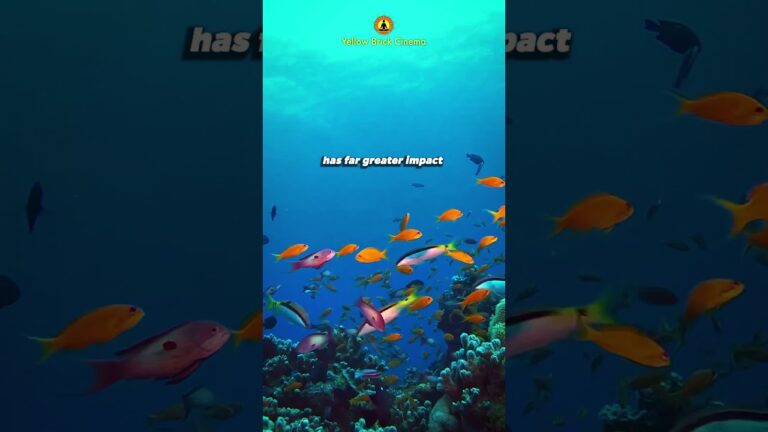 What you do has far greater impact than what you say #shorts #relaxingmusic