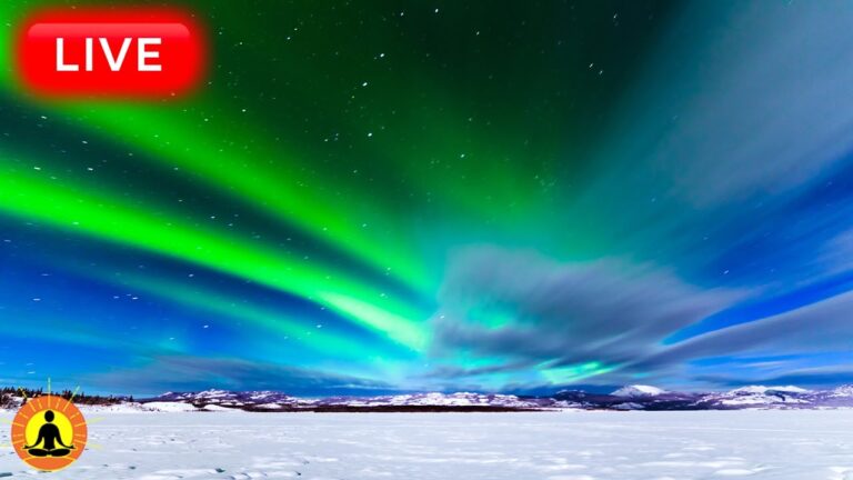 🔴 Relaxing Sleep Music 24/7, Calm Music, Yoga, Sleep Meditation, Spa, Study Music, Rain Sounds