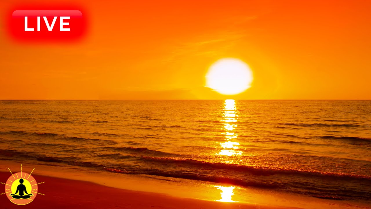 🔴 Relaxing Zen Music 24/7, Stress Relief Music, Sleep Music, Meditation Music, Study, Waves