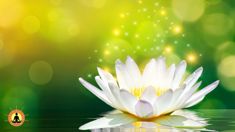 Relaxing Music, Healing Music, Meditation Music, Spa Music, Sleep, Zen, Flowing Stream ☯3751