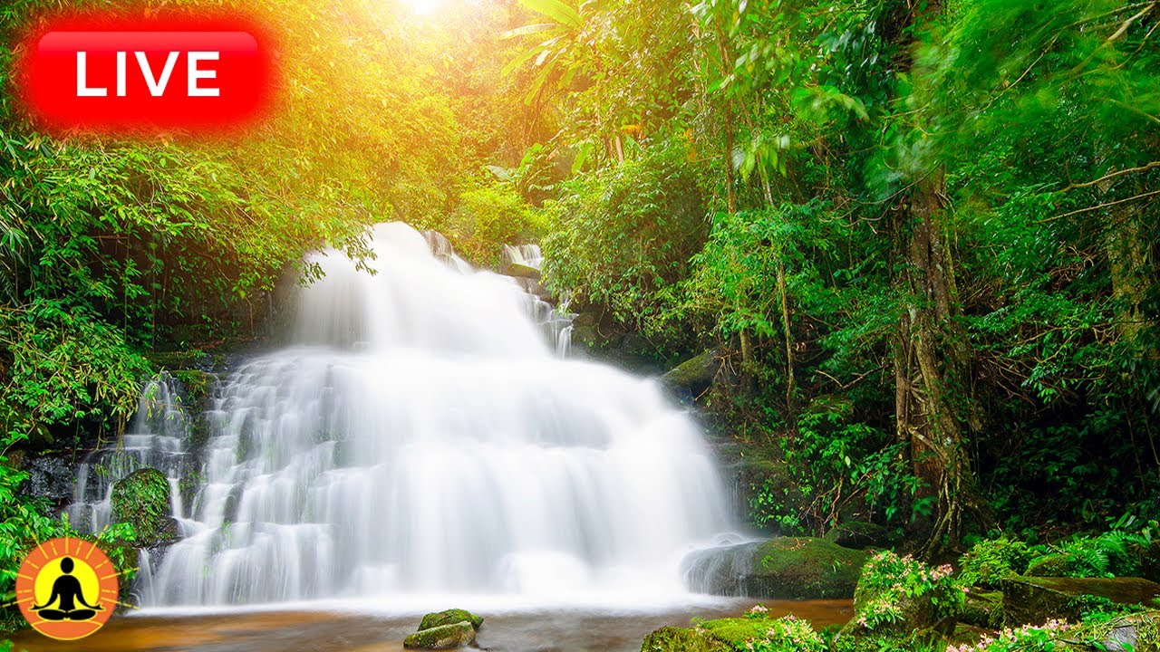 🔴 Relaxing Music 24/7, Healing Music, Meditation Music, Spa Music, Sleep, Zen, Study Music, Yoga