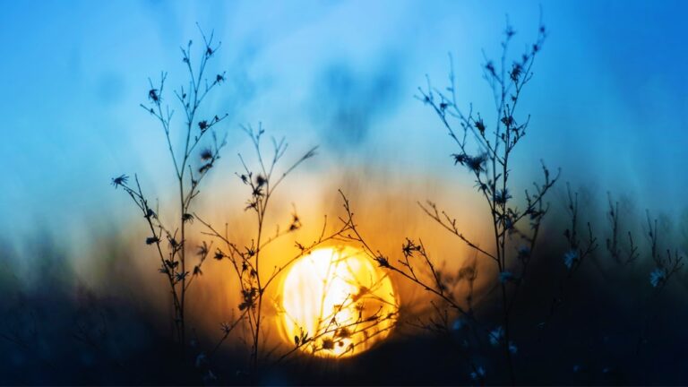 Music to Relieve Insomnia and Stres ♡ Eliminate Subconscious Negativity, Anxiety, Stop OverThinking