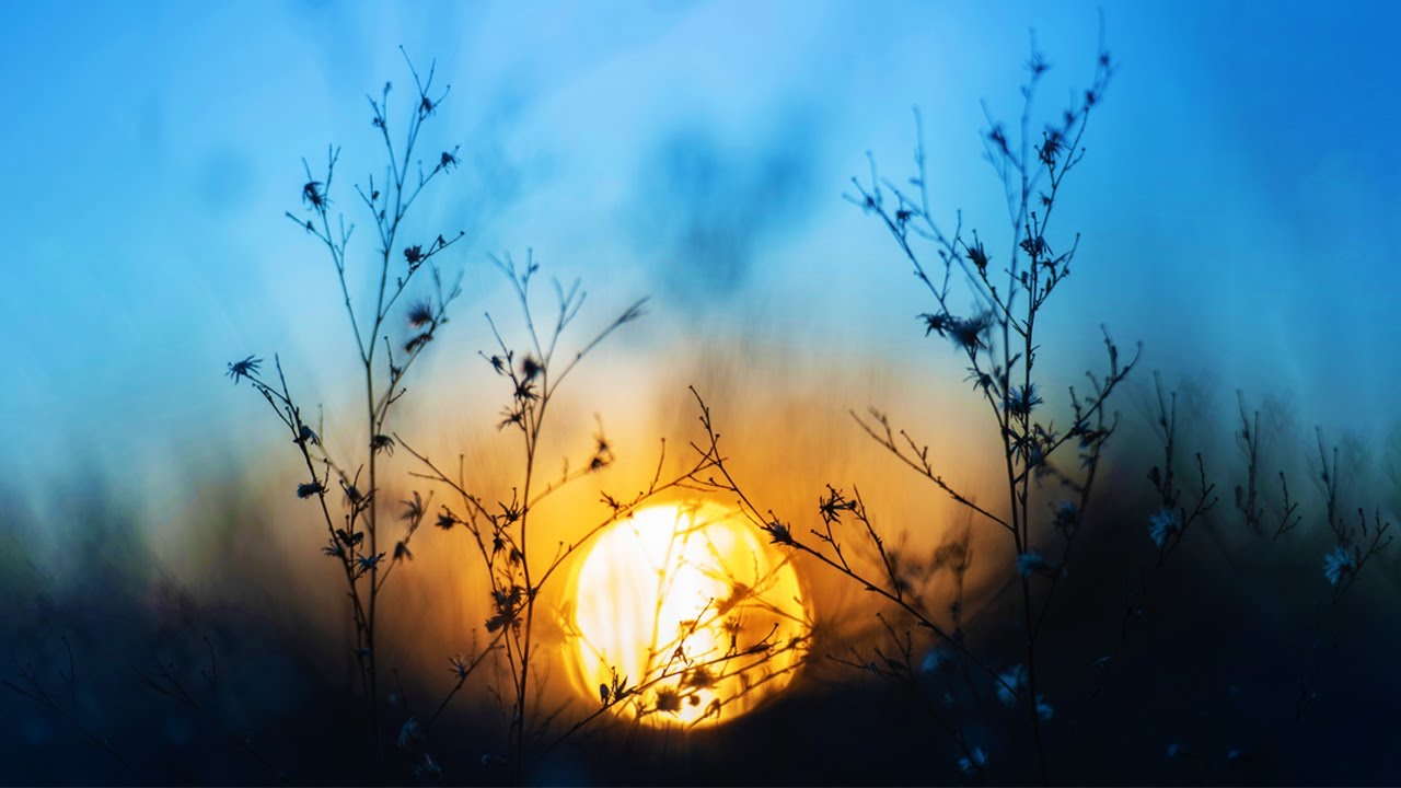 Music to Relieve Insomnia and Stres ♡ Eliminate Subconscious Negativity, Anxiety, Stop OverThinking