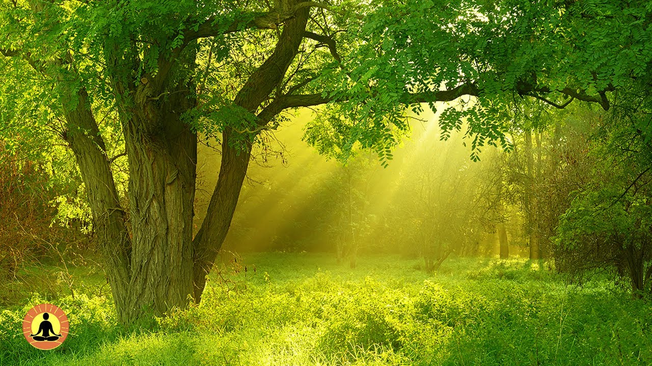 Relaxing Zen Music, Stress Relief Music, Sleep Music, Meditation Music, Study, Flowing Stream ☯3752