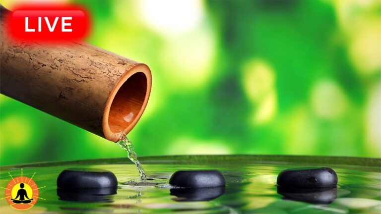 🔴 Relaxing Music 24/7, Stress Relief Music, Sleep Music, Meditation Music, Study, Flowing Stream