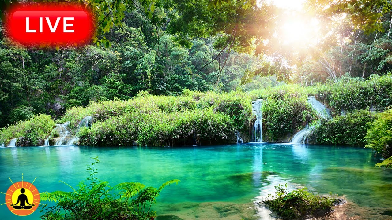 🔴 Relaxing Zen Music 24/7, Healing Music, Meditation Music, Spa Music, Sleep, Zen, Flowing Stream