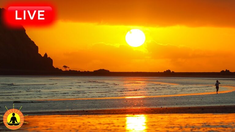 🔴 Relaxing Zen Music 24/7, Stress Relief Music, Sleep Music, Meditation Music, Study, Wave Sounds