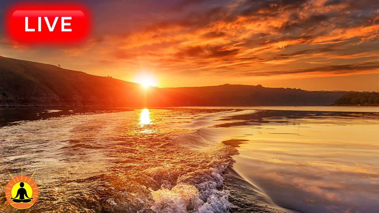 🔴 Relaxing Music 24/7, Sleep Music, Stress Relief Music, Spa, Meditation, Yoga, Zen, Ocean Sounds