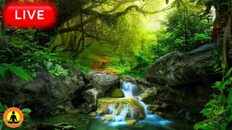 🔴 Relaxing Music 24/7, Sleep Music, Stress Relief Music, Spa, Meditation, Yoga, Zen, River Sounds