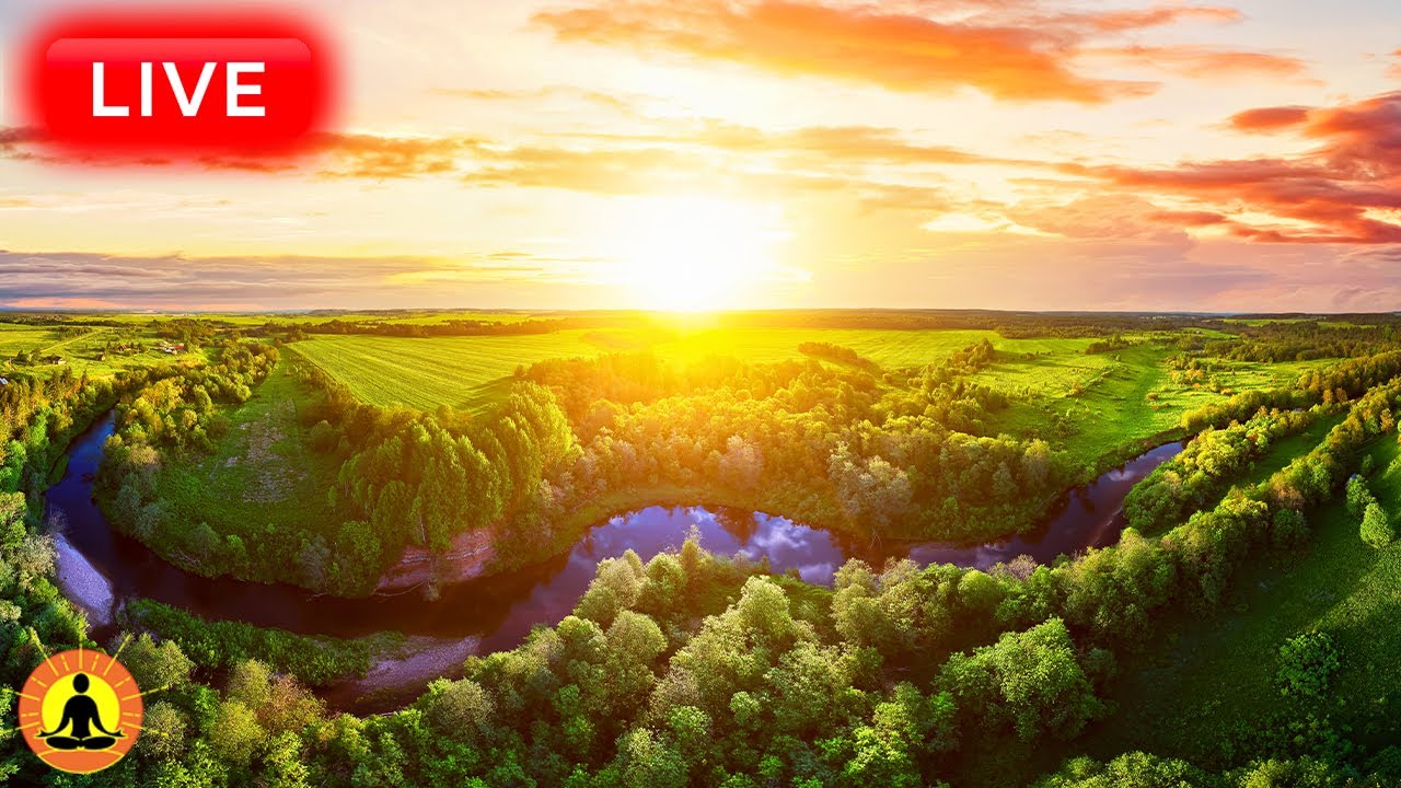 🔴 Relaxing Music 24/7, Stress Relief Music, Sleep Music, Meditation Music, Study, Calming Music