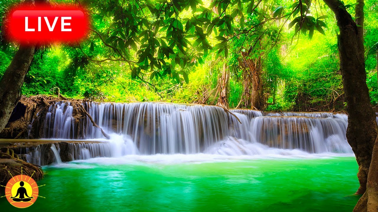 🔴 Relaxing Zen Music 24/7, Stress Relief Music, Sleep Music, Meditation Music, Study, Flowing River