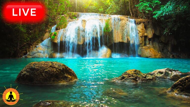 🔴 Relaxing Zen Music 24/7, Stress Relief Music, Sleep Music, Meditation Music, Study, Forest Sounds