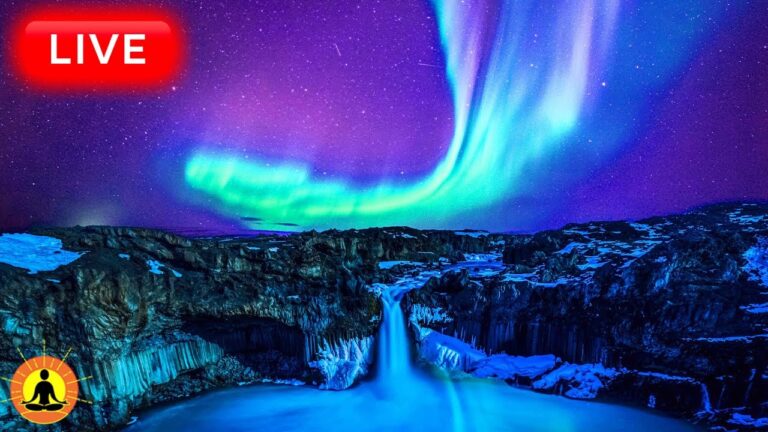 🔴 Relaxing Sleep Music 24/7, Calm Music, Yoga, Sleep Meditation, Spa, Study Music, Sleeping Music