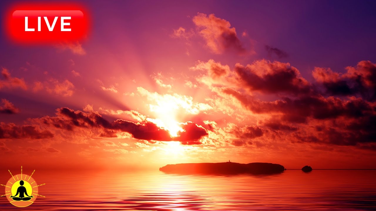 🔴 Relaxing Zen Music 24/7, Healing Music, Meditation Music, Spa Music, Sleep, Zen, Ocean Sounds