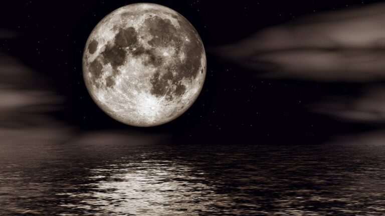 Night Sleeping In The Moonlight ♡ Sleeping music, Relaxing music, Stress relief music, Meditation