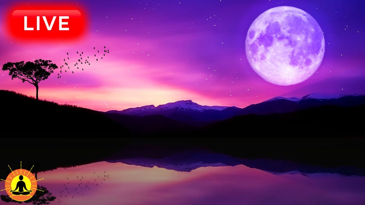 🔴 Sleep Music 24/7, Sleep Meditation, Relaxing Music, Meditation Music, Spa, Study, Nature Sounds