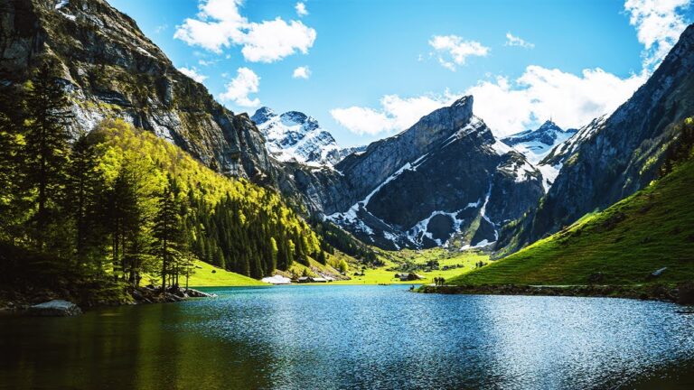 3 Hours Relaxing Healing Music ♡ Stress Relief, Morning Music, Meditation Music