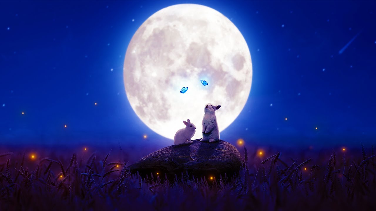 Calm Meditation Healing Sleep Music ♡ Healing for Anxiety and Depression Disorders