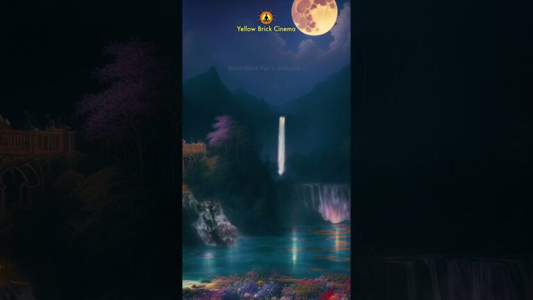 To view our other videos and live streams, click on the link in the description.