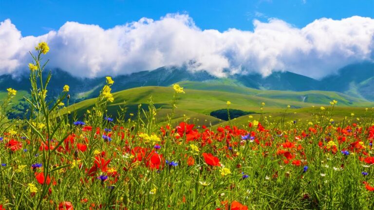 Cures for Anxiety Disorders ♡ Body and Mind Restoration, Melatonin Release, Meditation