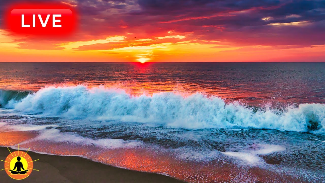 🔴 Relaxing Sleep Music 24/7, Calm Music, Yoga, Sleep Meditation, Spa, Study Music, Ocean Sounds
