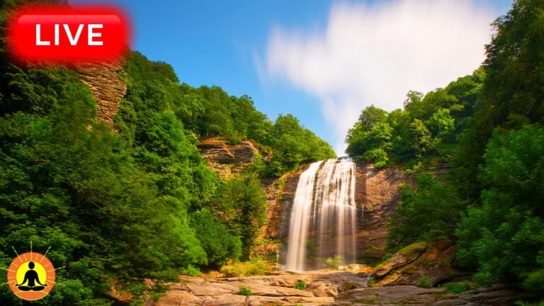 🔴 Relaxing Sleep Music 24/7, Calm Music, Yoga, Sleep Meditation, Spa, Study Music, River Sounds