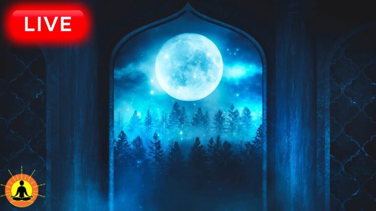 🔴 Deep Sleep Music 24/7, Calming Music, Insomnia, Sleep, Relaxing Music, Study, Rain Sounds