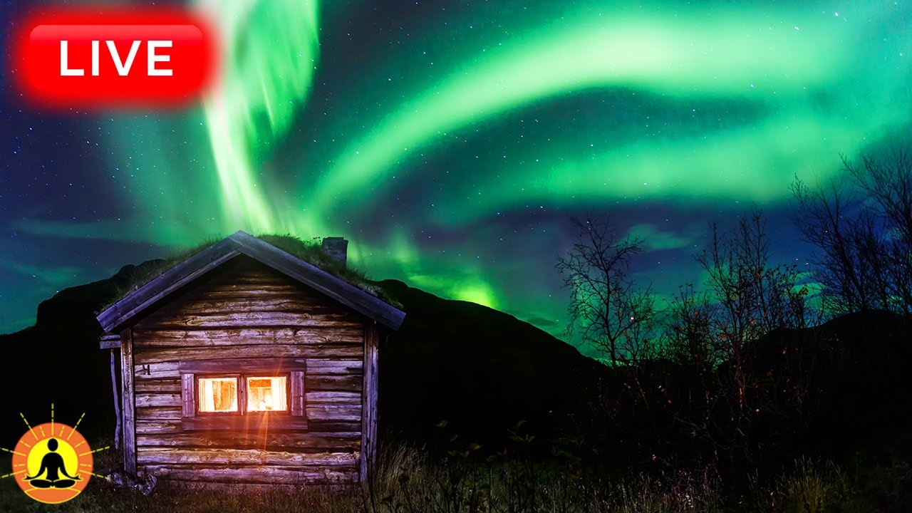 🔴 Sleep Music 24/7, Sleep Meditation, Relaxing Music, Meditation Music, Spa, Study, Rain Sounds