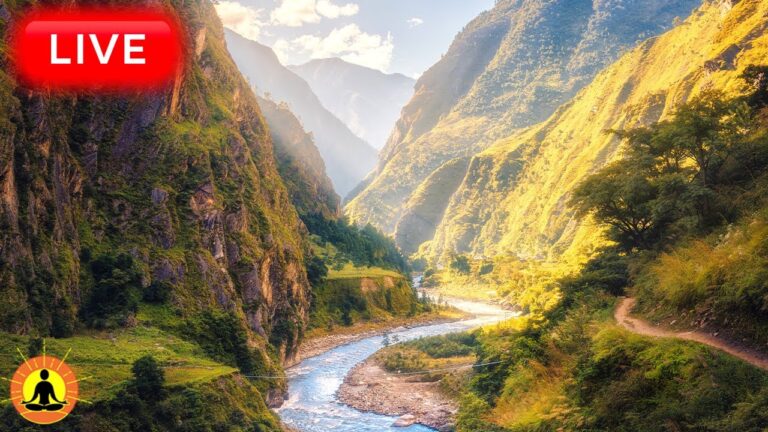 🔴 Relaxing Music 24/7, Sleep Music, Stress Relief Music, Spa, Meditation, Yoga, Zen, Flowing Stream