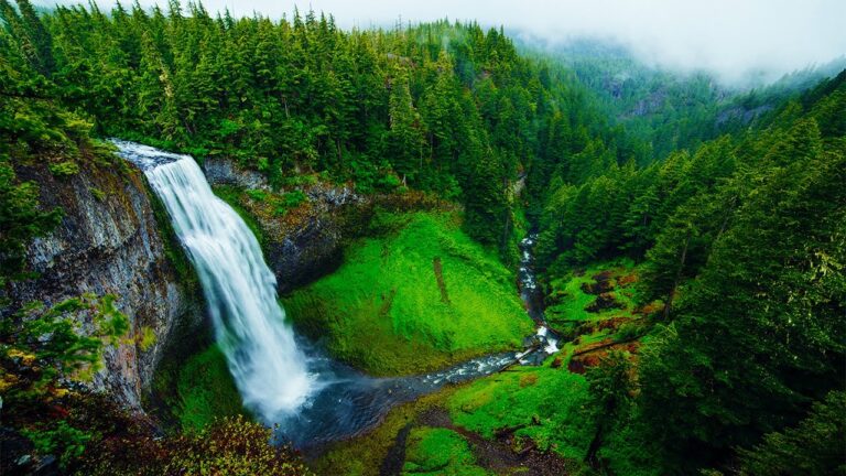 INSTANT Relief from Stress and Anxiety ♡ Sleep Meditation Music, Calming Music, Insomnia