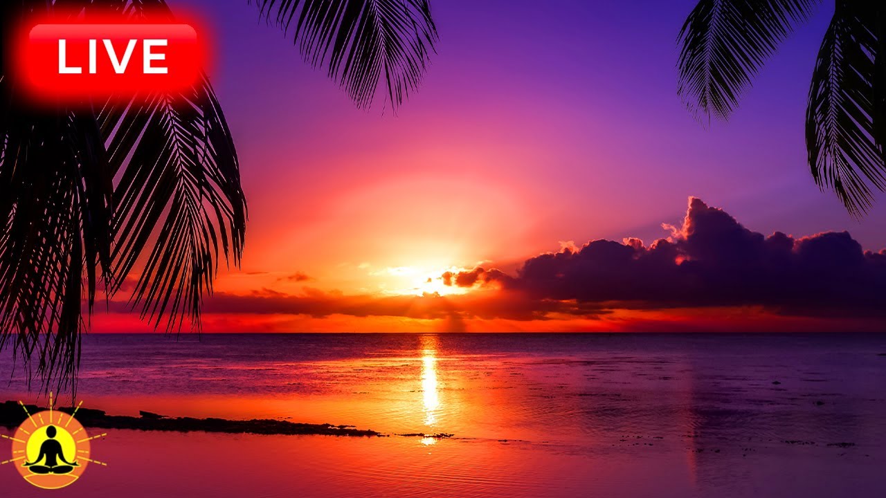 🔴 Relaxing Sleep Music 24/7, Calm Music, Yoga, Sleep Meditation, Spa, Study Music, Rain Sounds