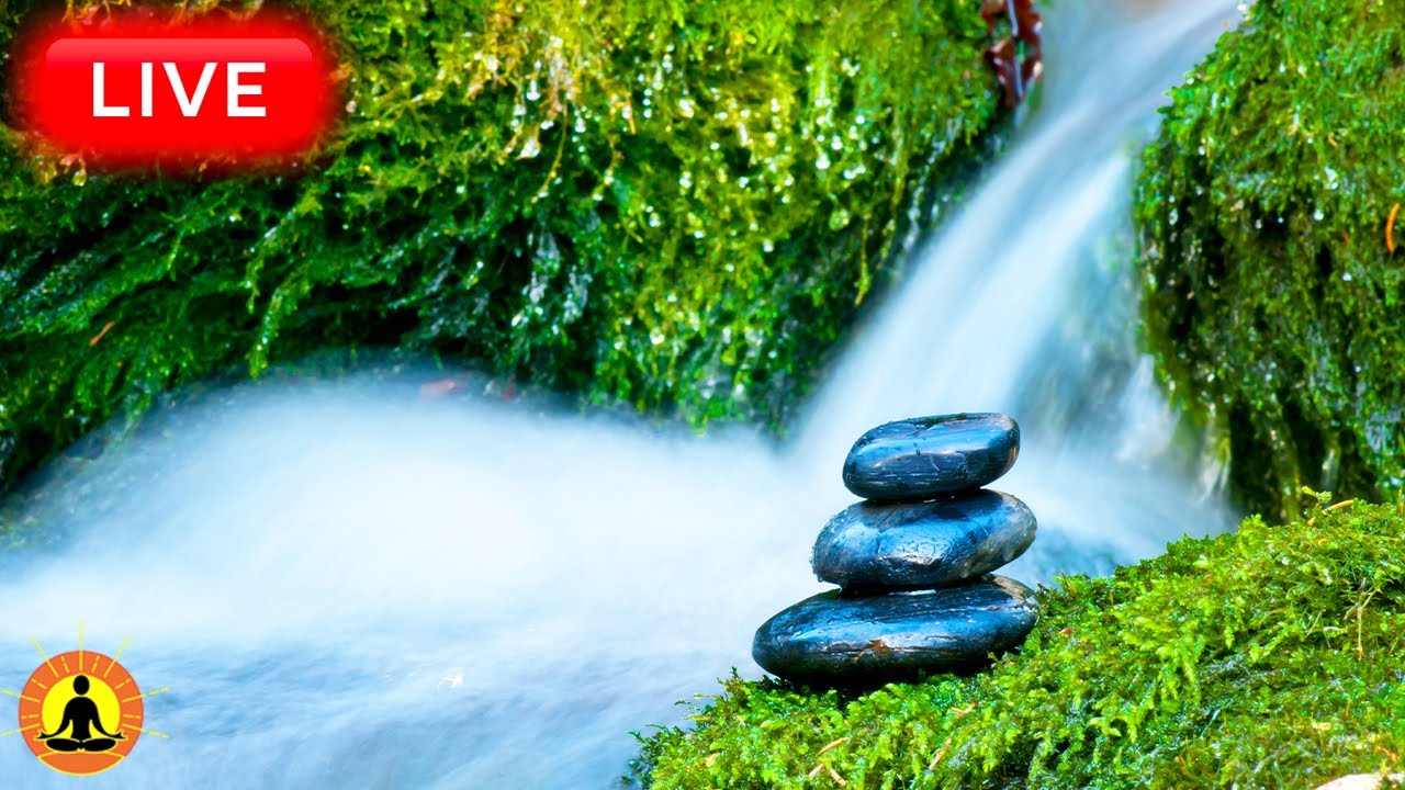 🔴 Relaxing Zen Music 24/7, Healing Music, Meditation Music, Spa Music, Sleep, Zen, Flowing River