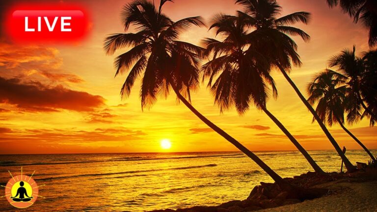 🔴 Relaxing Music 24/7, Sleep Music, Stress Relief Music, Spa, Meditation, Yoga, Zen, Rain Sounds