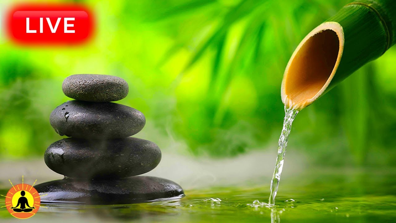 🔴 Relaxing Zen Music 24/7, Stress Relief Music, Sleep Music, Meditation Music, Study, Flowing Stream