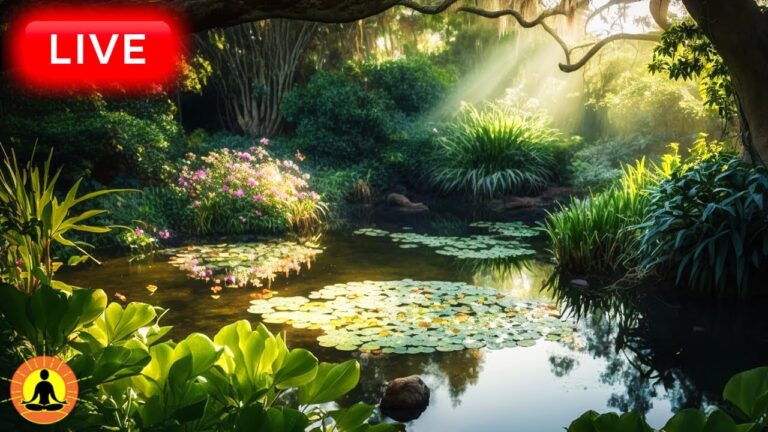 🔴 Relaxing Zen Music 24/7, Healing Music, Meditation Music, Spa Music, Sleep, Zen, Flowing Stream