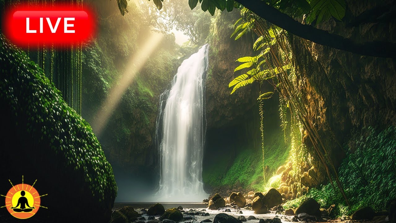 🔴 Relaxing Music 24/7, Sleep Music, Stress Relief Music, Spa, Meditation, Yoga, Zen, Waterfall