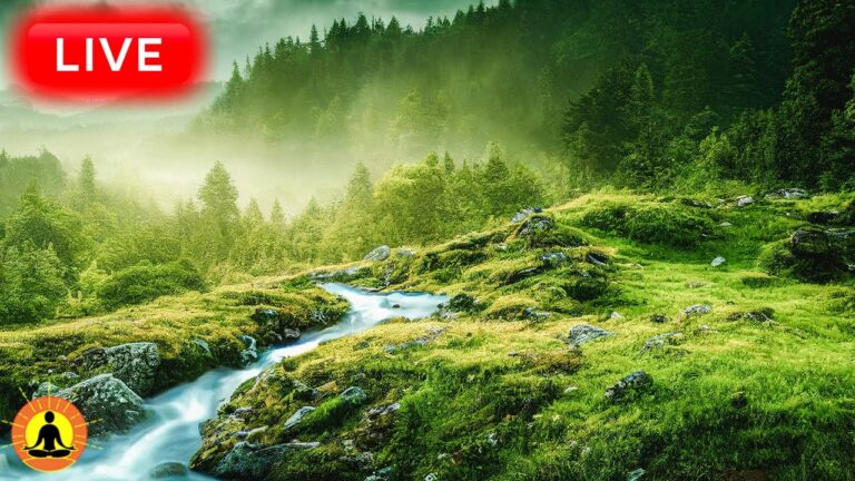 🔴 Relaxing Music 24/7, Stress Relief Music, Sleep Music, Meditation Music, Calming Music, River