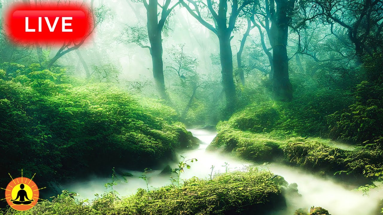 🔴 Relaxing Zen Music 24/7, Stress Relief Music, Sleep Music, Meditation Music, Study, Flowing River