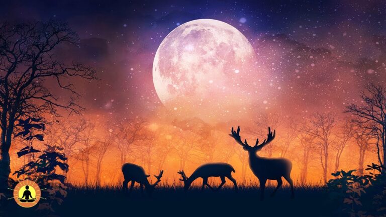 Sleep Music, Sleep Meditation, Relaxing Music, Meditation Music, Spa, Study, Ocean Wave Sounds ☯3763