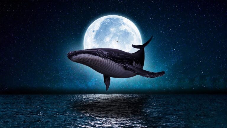 Sleep Deep in 3 Minutes ♡ Eliminate Stress, Anxiety and Calm the Mind, Melatonin Release