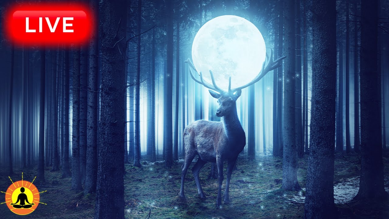 🔴 Sleep Music 24/7, Peaceful Music, Insomnia, Relaxing Music, Calming Music, Meditation Music, Rain