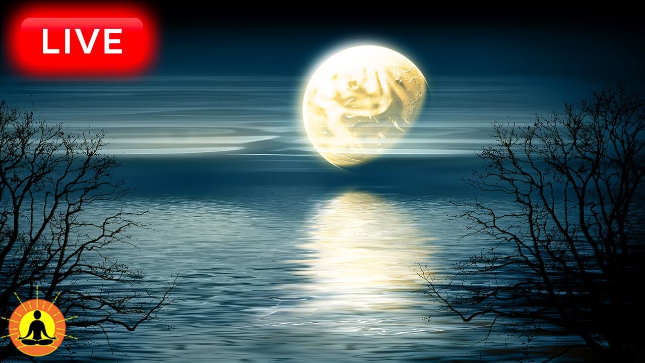 🔴 Sleep Music 24/7, Sleep Meditation, Relaxing Music, Meditation Music, Spa, Study, Sleeping Music