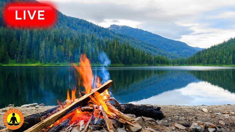 🔴 Relaxing Music 24/7, Healing Music, Meditation Music, Spa Music, Sleep, Zen, Study Music, Camping