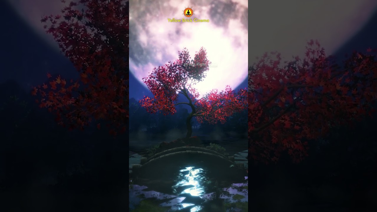 Everything is extraordinary 💫 #shorts #relaxing #relaxingmusic music