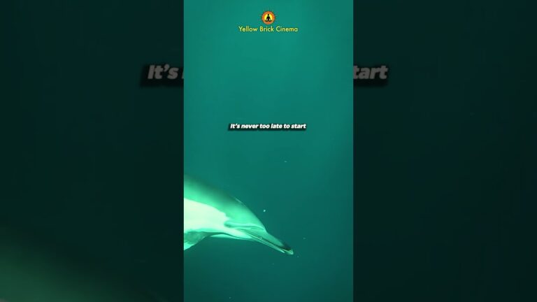 It’s never too late to start 🐚 #shorts #relaxing #relaxingmusic