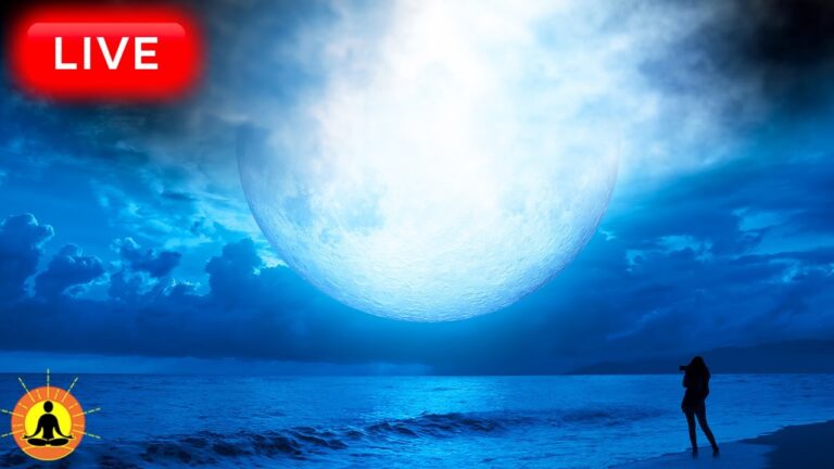 🔴 Sleep Music 24/7, Sleep Meditation, Relaxing Music, Meditation Music, Spa, Study, Ocean Sounds